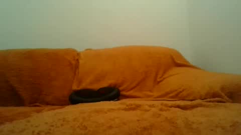 showherenow online show from 03-08-26, 08:18