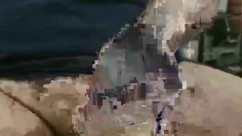 Snapshot of showsme chatting on 09-22-25, 12:07 showsme online show from 09-22-25, 12:07