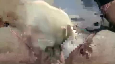 Snapshot of showsme chatting on 10-28-25, 10:52 showsme online show from 10-28-25, 10:52