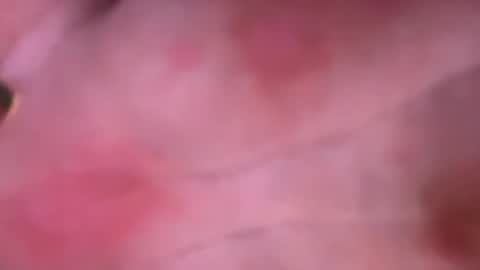 shurd7 online show from 04-22-26, 11:06