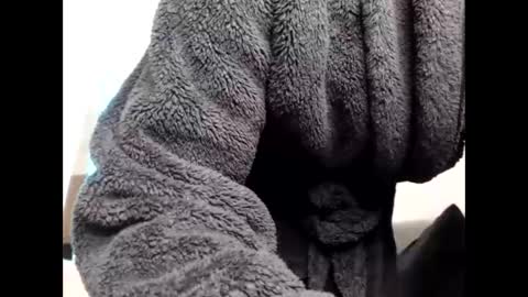 Snapshot of shy_baddie chatting on 03-06-26, 06:48 Sheril online show from 03-06-26, 06:48