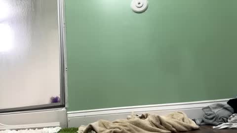 Sasha online show from 02-27-25, 09:36