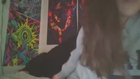 RBXs Princess online show from 12-18-24, 03:47