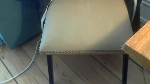 Seba online show from 06-19-26, 09:02