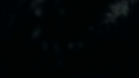 Silkey online show from 12-10-24, 01:22