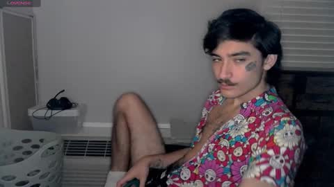 Snapshot of silly_cybin chatting on 01-13-25, 01:17 cybin online show from 01-13-25, 01:17