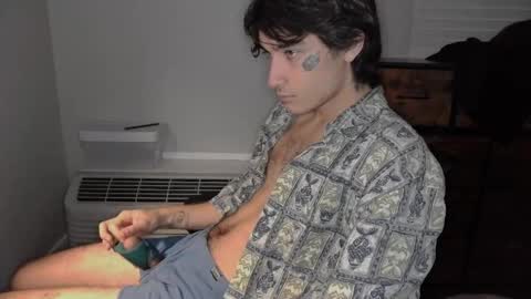 Snapshot of silly_cybin chatting on 01-31-25, 12:07 cybin online show from 01-31-25, 12:07