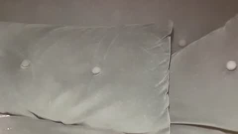 silva_21cm online show from 08-07-26, 08:00