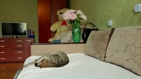 miss Anna online show from 05-30-26, 12:24