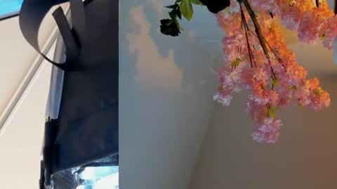 Snapshot of siouxsie_cenobite chatting on 06-24-26, 11:09 Siouxsie online show from 06-24-26, 11:09