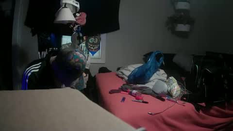 Danny skiff online show from 03-09-25, 07:37