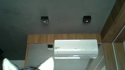 skinnykittencam online show from 10-03-25, 11:51