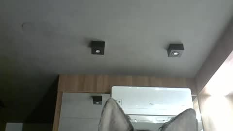 skinnykittencam online show from 11-06-25, 04:13