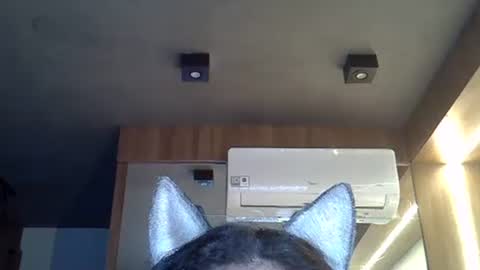 skinnykittencam online show from 11-10-25, 08:46