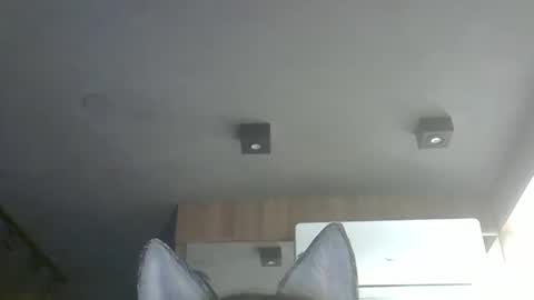skinnykittencam online show from 11-24-25, 01:11