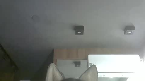 skinnykittencam online show from 11-25-25, 01:16
