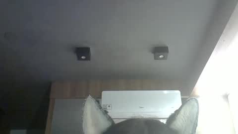 skinnykittencam online show from 03-14-26, 09:26