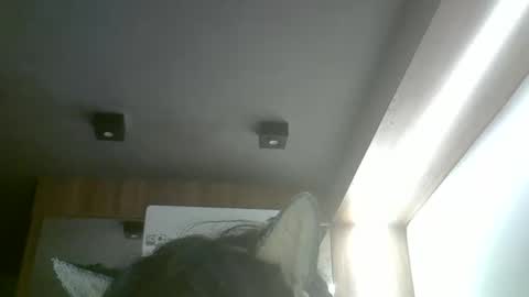 skinnykittencam online show from 05-20-26, 02:29