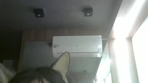 skinnykittencam online show from 05-26-26, 11:01