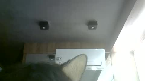 skinnykittencam online show from 06-06-26, 09:30