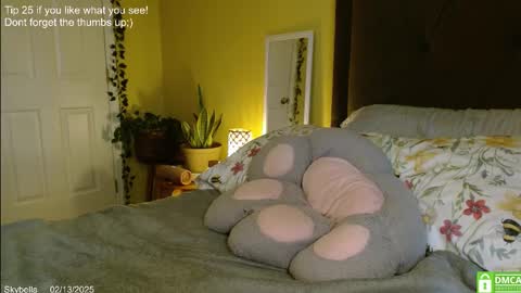 Skylar online show from 02-13-25, 04:28