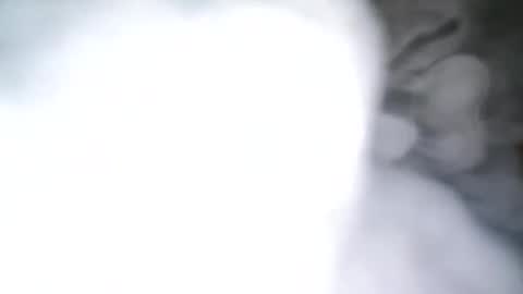 skyonetoo3 online show from 10-21-25, 10:21