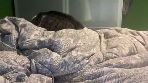 slice5 online show from 12-21-25, 09:49