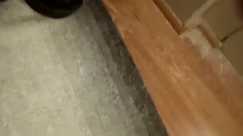 Snapshot of slickdog58 chatting on 09-19-25, 07:47 slickdog58 online show from 09-19-25, 07:47