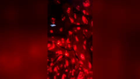 slicknick1988 online show from 05-27-26, 07:38