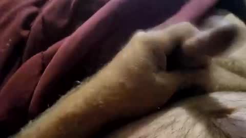 slitlicke69696969 online show from 09-19-25, 01:56