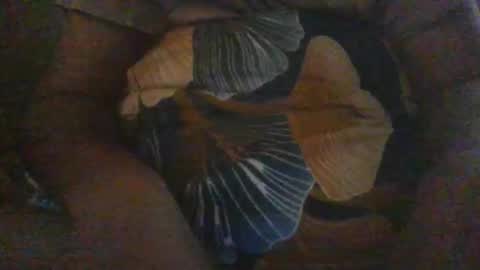 Snapshot of slothslav chatting on 12-18-24, 12:40 slothslav online show from 12-18-24, 12:40