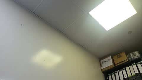 Snapshot of slothslav chatting on 10-28-25, 02:04 slothslav online show from 10-28-25, 02:04