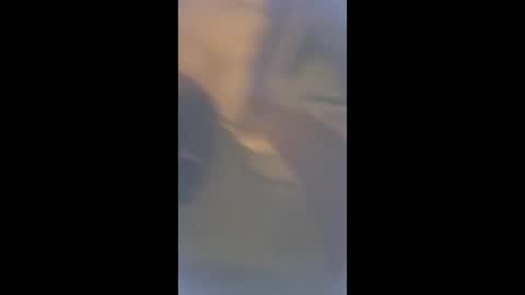 smcock68 online show from 03-03-26, 11:21