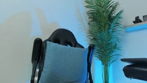 Snapshot of smitgrey chatting on 12-07-24, 09:39 SMIT online show from 12-07-24, 09:39