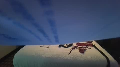 love bug online show from 10-26-25, 08:42