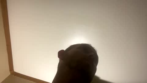 smokeymt420 online show from 03-08-25, 06:54