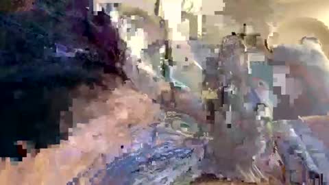 smokingdank online show from 12-18-24, 03:47