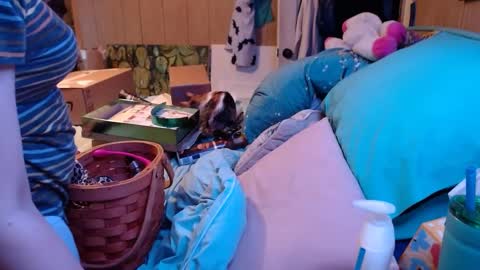 DIAN dee-ann online show from 12-24-24, 02:54