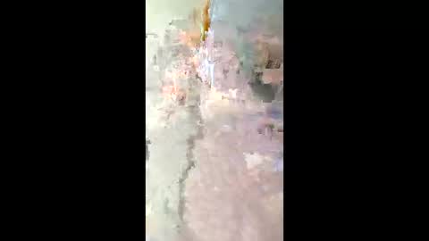 smyklops online show from 01-08-26, 03:09