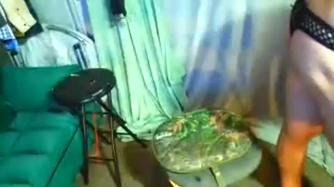 snizniz online show from 07-29-26, 06:11