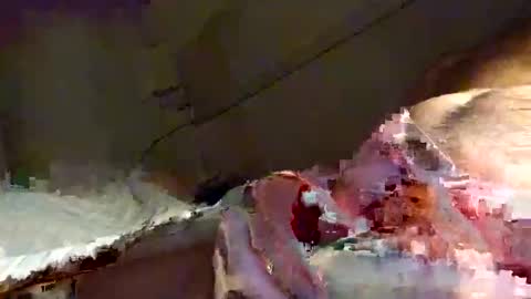 Snooty online show from 01-16-25, 10:23