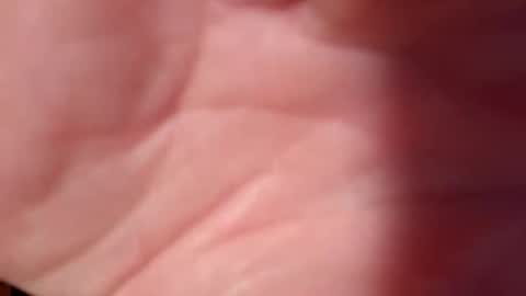 Snooty online show from 02-10-25, 10:51