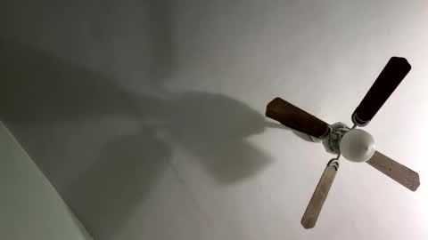 Snow Bunny online show from 10-23-25, 02:49