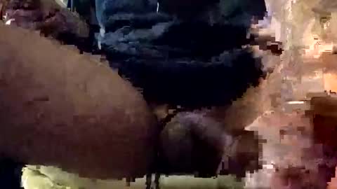 Snapshot of snowdaddy777 chatting on 01-07-26, 07:55 Lets play n party online show from 01-07-26, 07:55