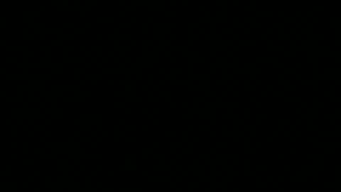 snp__useeitsfun online show from 11-10-25, 09:41