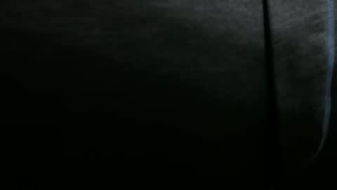 Snapshot of snuffalufagus chatting on 12-20-24, 06:35 Adam online show from 12-20-24, 06:35