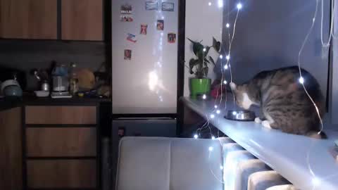 Sofi online show from 01-19-25, 10:39