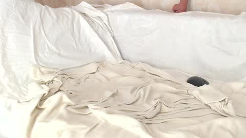 Sofia here online show from 01-08-25, 08:06