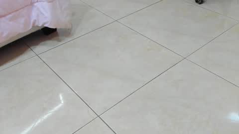 sofiaabigboobs online show from 11-25-25, 11:54