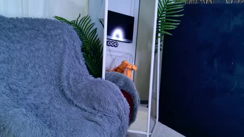 Sofia online show from 04-01-26, 05:52